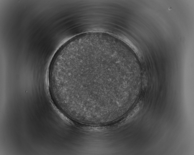 X0000087041084200705160923