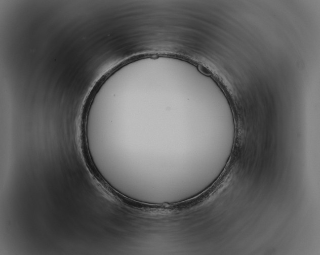 X0000087041085200705160923