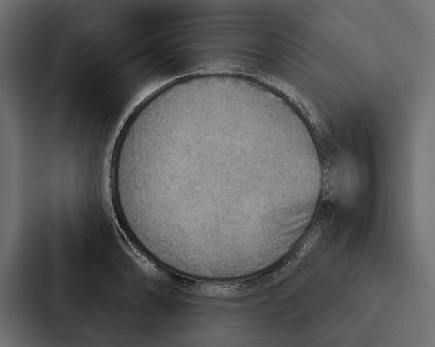 X0000087041086200705160923