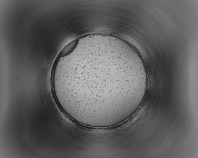 X0000087041087200705160923