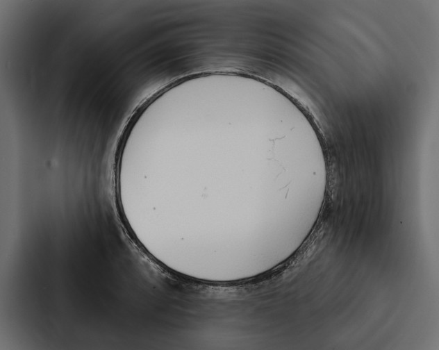 X0000087041088200705160923