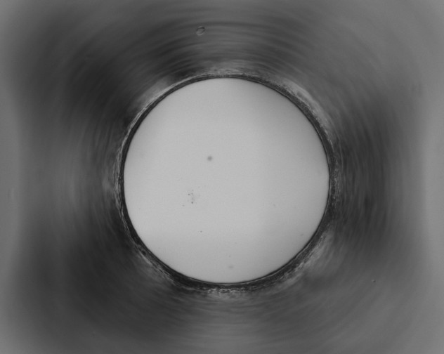 X0000087041089200705160923