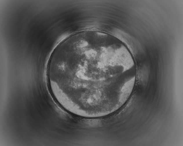X0000087041090200705160923