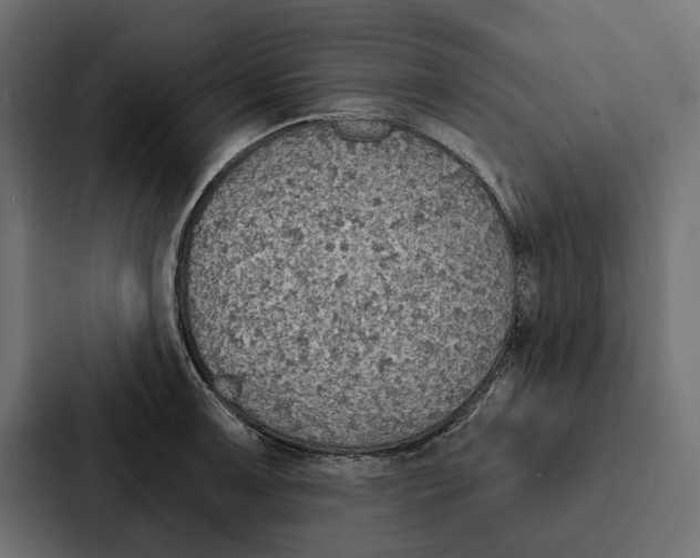 X0000087041091200705160923