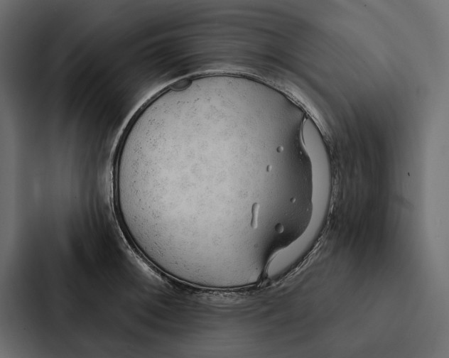 X0000087041092200705160923