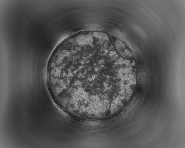 X0000087041095200705160923