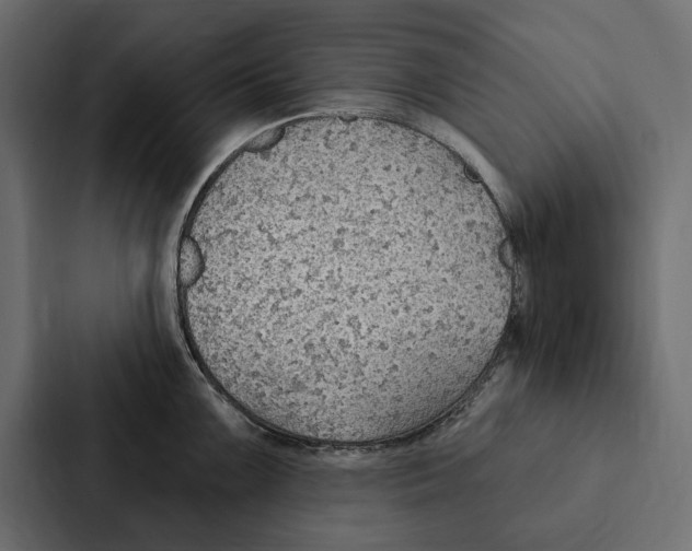 X0000087041099200705160923