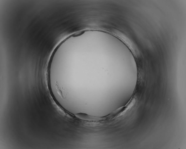 X0000087041100200705160923