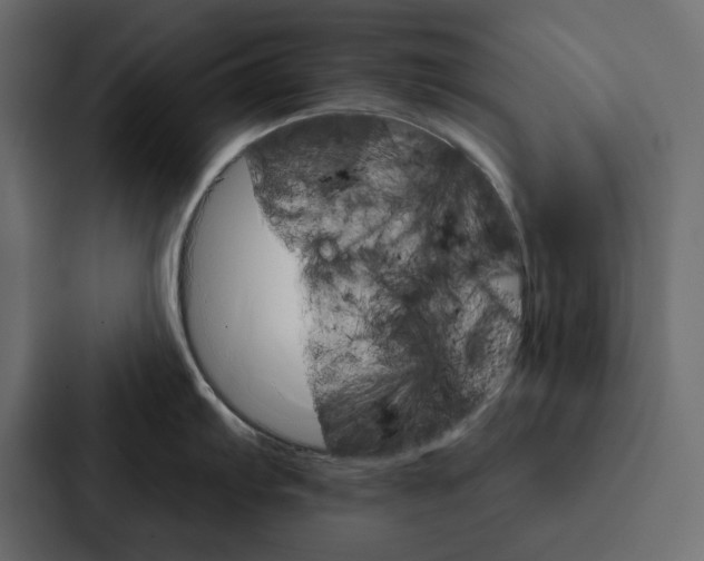 X0000087041103200705160923
