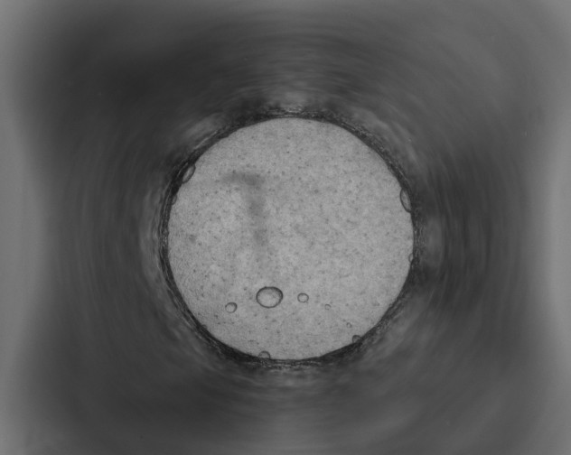 X0000087041105200705160922
