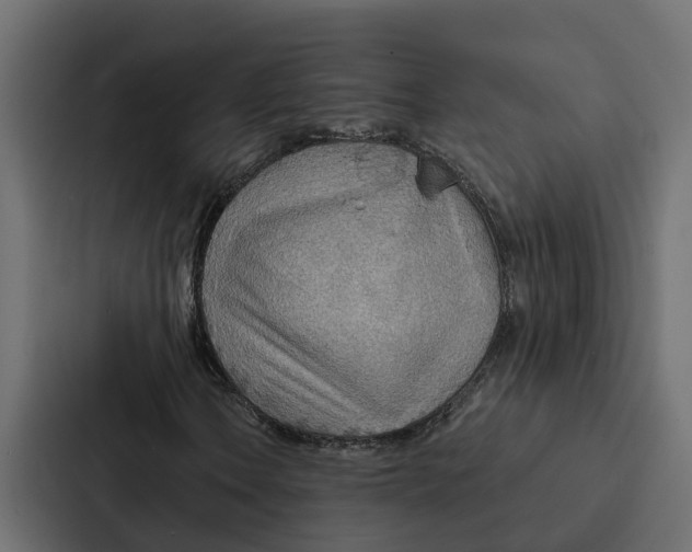 X0000087041106200705160922