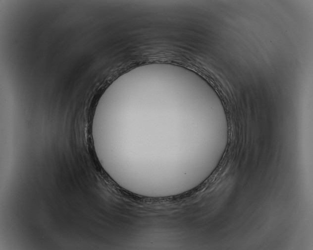 X0000087041108200705160922