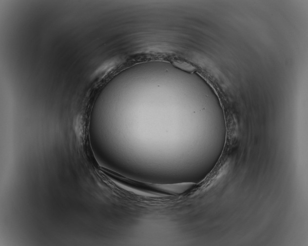 X0000087041110200705160922