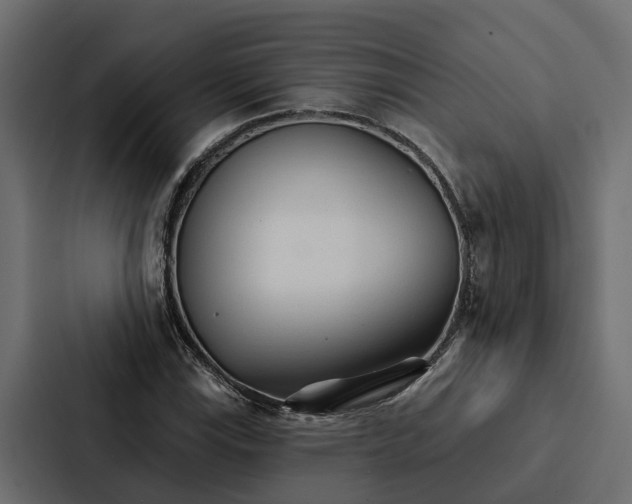 X0000087041115200705160922