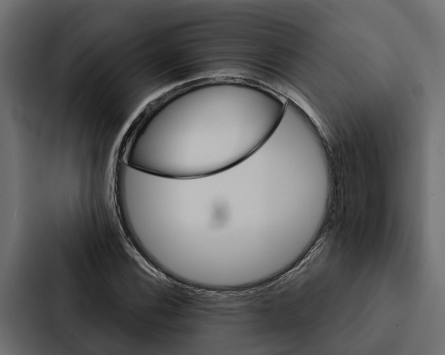 X0000087041116200705160922