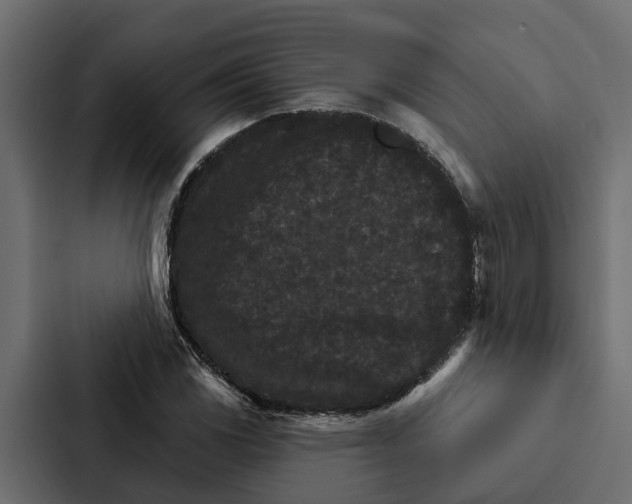 X0000087041117200705160922