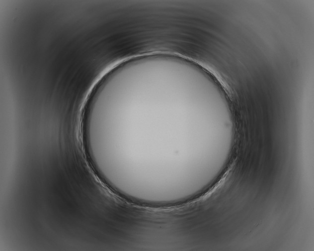 X0000087041118200705160922