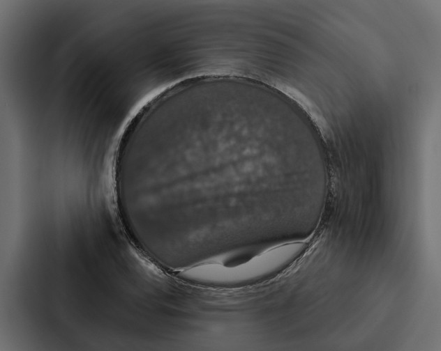 X0000087041120200705160922