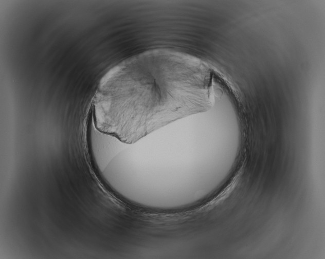 X0000087041121200705160922