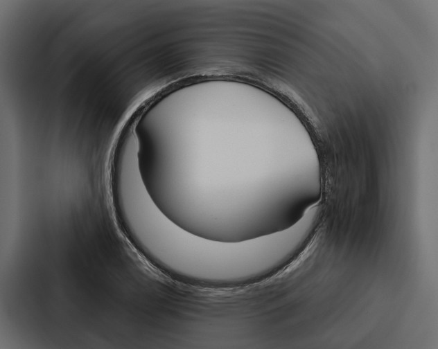 X0000087041122200705160922