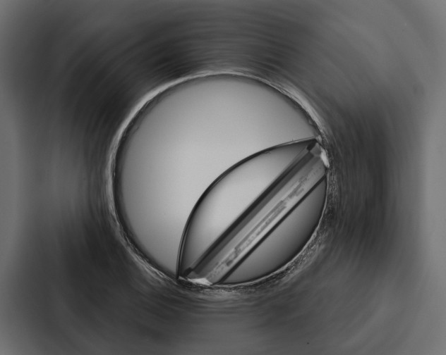 X0000087041124200705160922