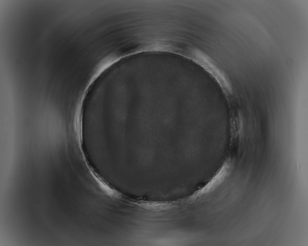 X0000087041127200705160922