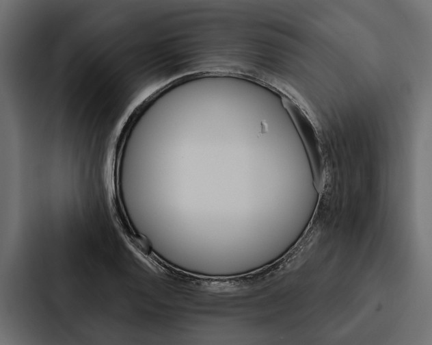 X0000087041128200705160922