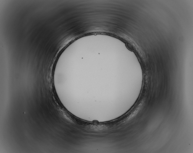 X0000087041129200705160922