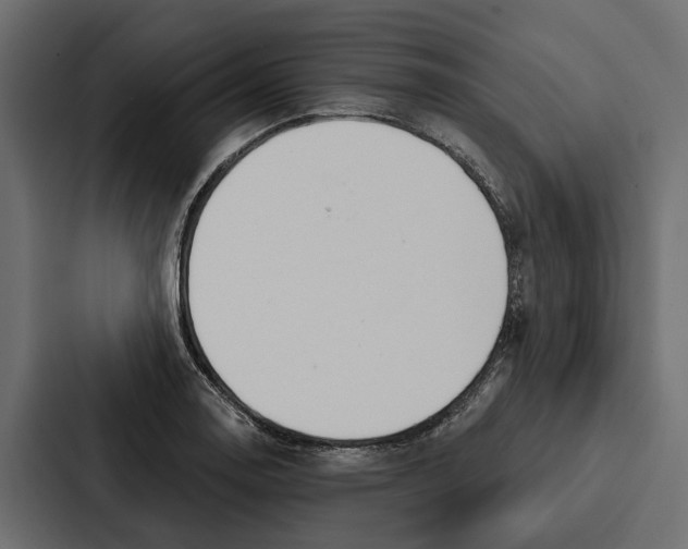 X0000087041130200705160922