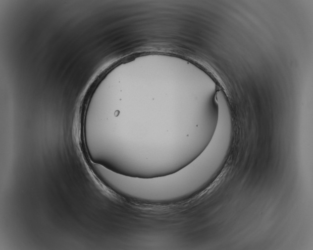 X0000087041131200705160922