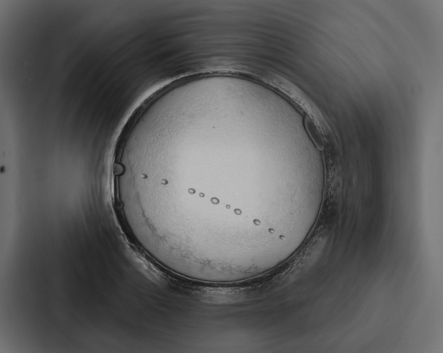 X0000087041132200705160922