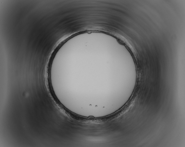 X0000087041133200705160922