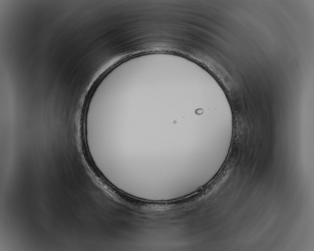 X0000087041134200705160922