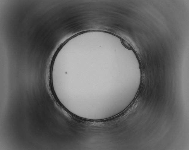 X0000087041136200705160922
