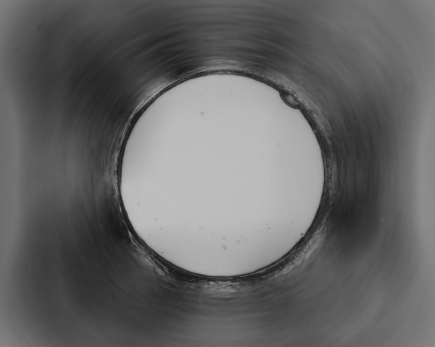 X0000087041137200705160922