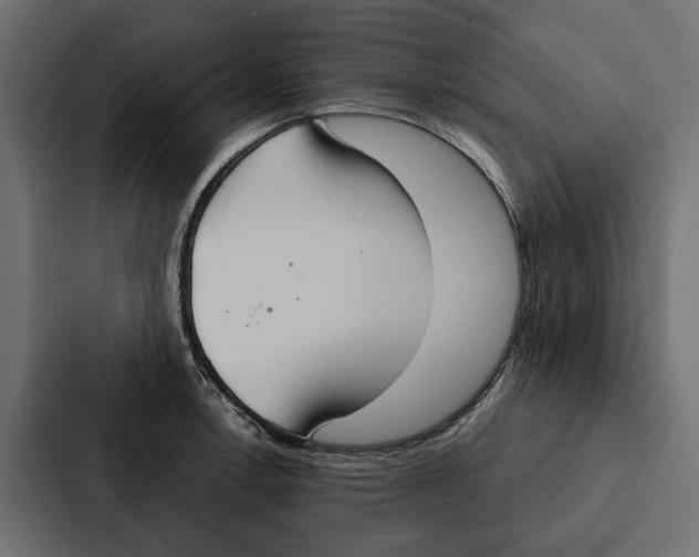 X0000087041138200705160922