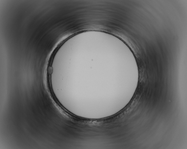 X0000087041139200705160922