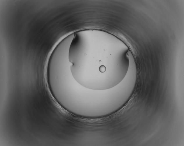 X0000087041140200705160922