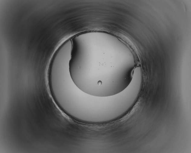 X0000087041141200705160922