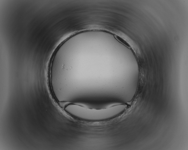 X0000087041142200705160922