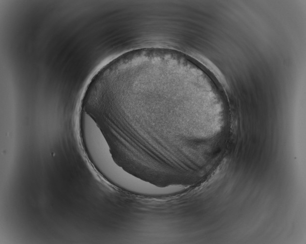 X0000087041144200705160923