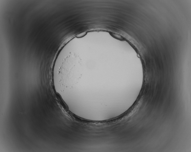 X0000087041145200705160923