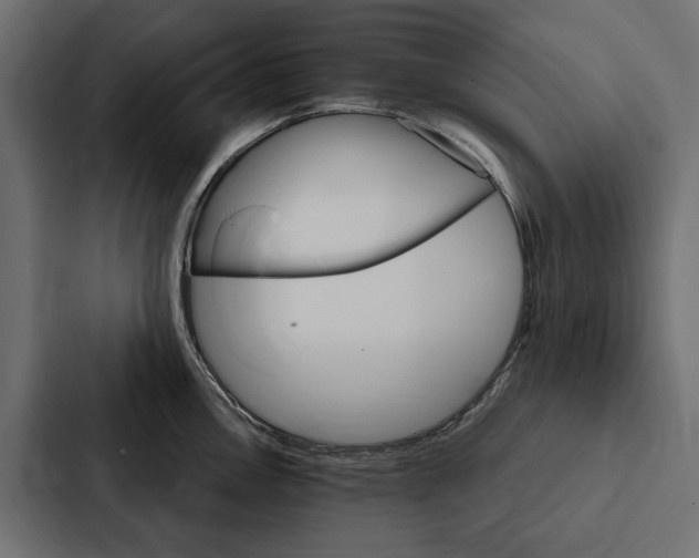 X0000087041146200705160923