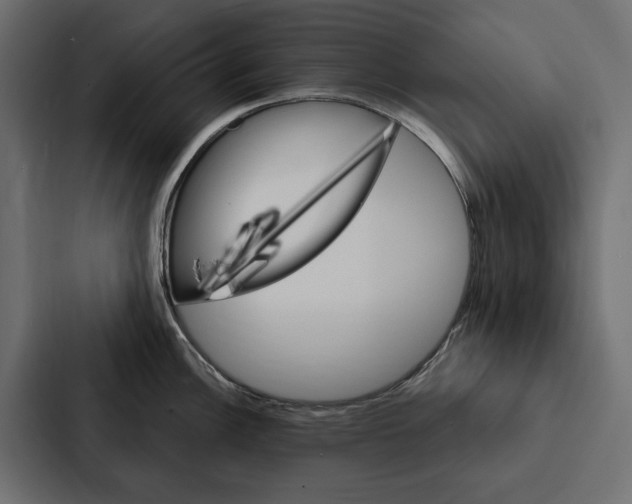 X0000087041148200705160923