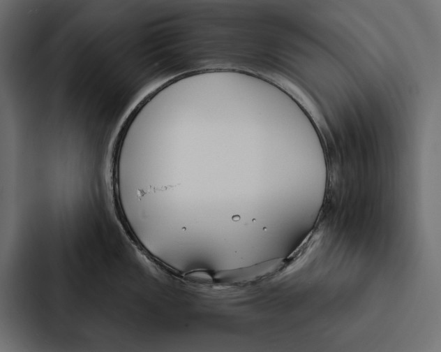 X0000087041149200705160923