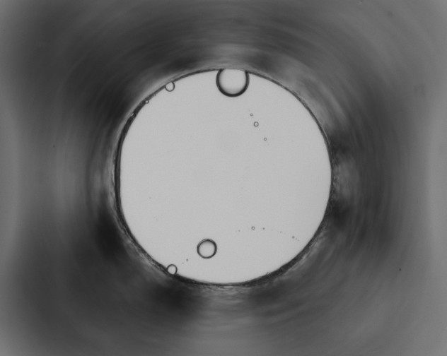 X0000087041150200705160923