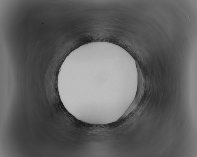 X0000087041153200705160922