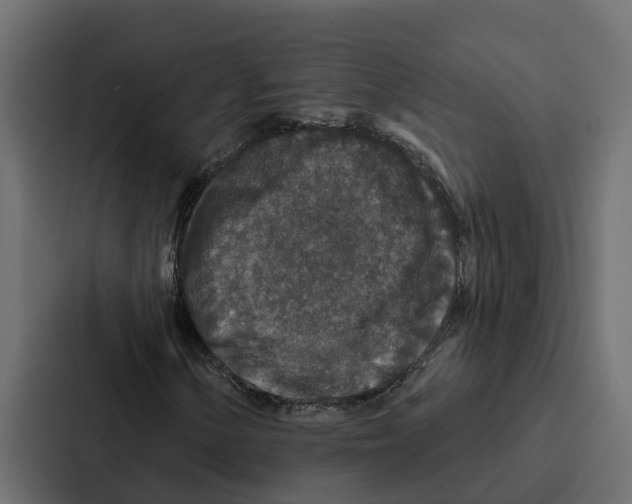 X0000087041154200705160922