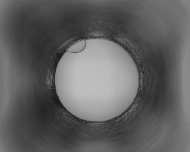 X0000087041158200705160922