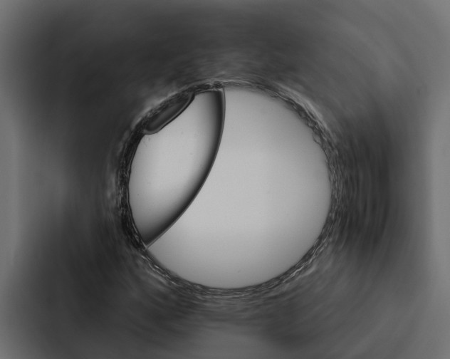 X0000087041160200705160922